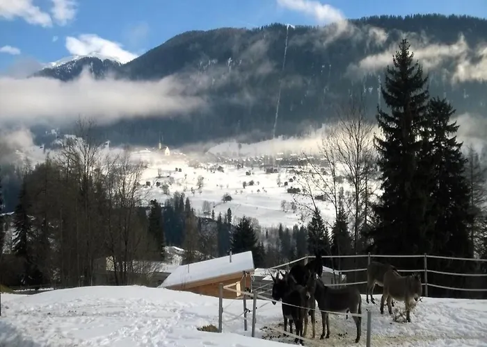 8p In The Mountains Near Area